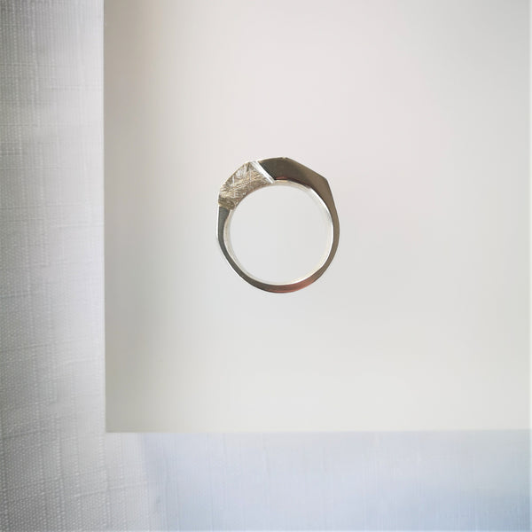 Curvilinear Ring Silver